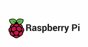 Raspberry Pi Logo with text